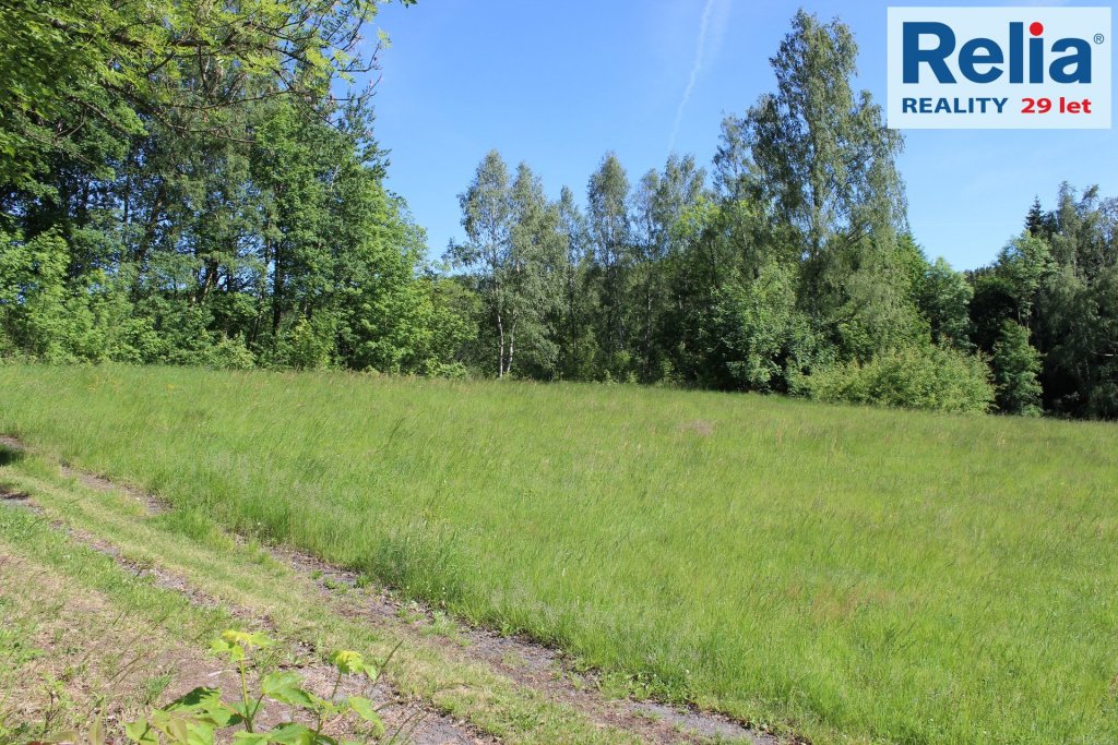 Prodej stavebního pozemku 3894 m2, Desná II, Pustiny.
