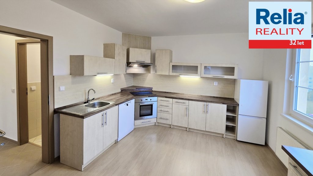 Slunný prostorný byt s balkonem