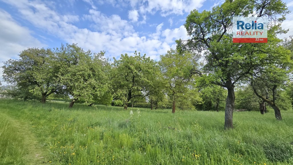 Pronájem ovocného sadu 2 532 m2 - Turnov