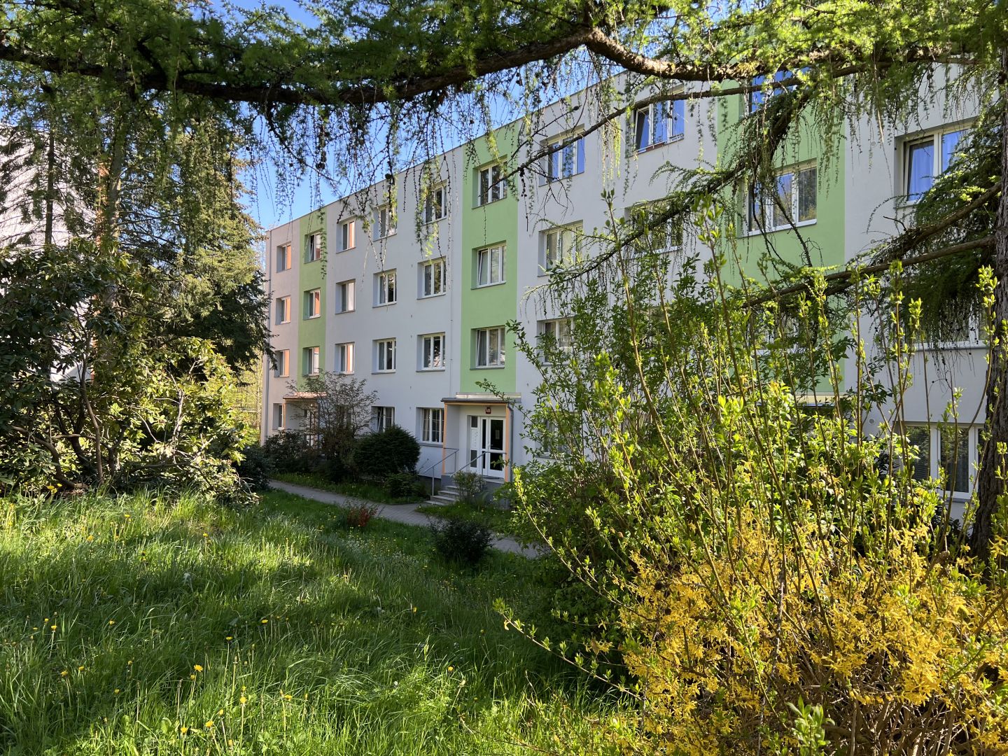N50085 - Koupě bytu - Aloisina Výšina, Liberec, Kristiánov