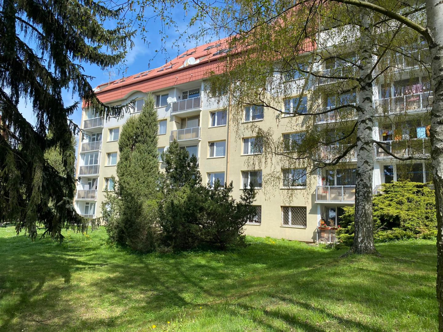 N49715_Pronájem hezkého, slunného bytu 1+1 v Hrádku n. Nisou - ul. Liberecká